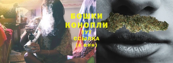 гидропоника Горняк
