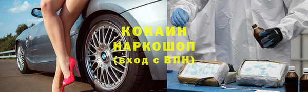 гидропоника Горняк