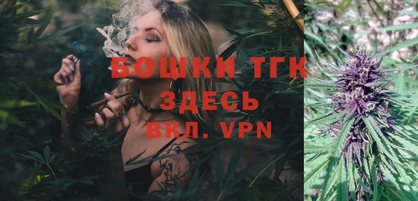 гидропоника Горняк