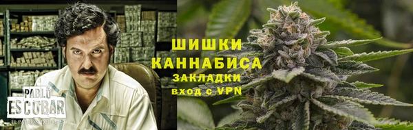 гидропоника Горняк