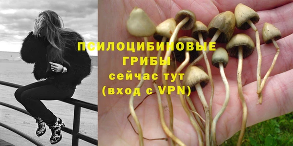 гашик Горнозаводск