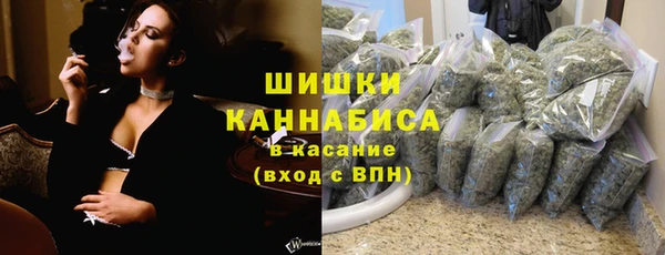 гашик Горнозаводск