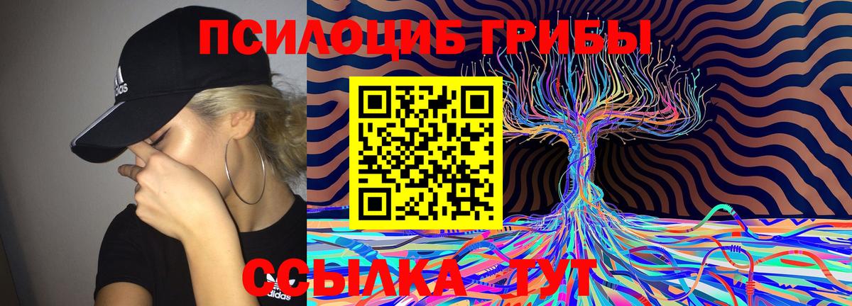 Галлюциногенные грибы Cubensis Наро-Фоминск